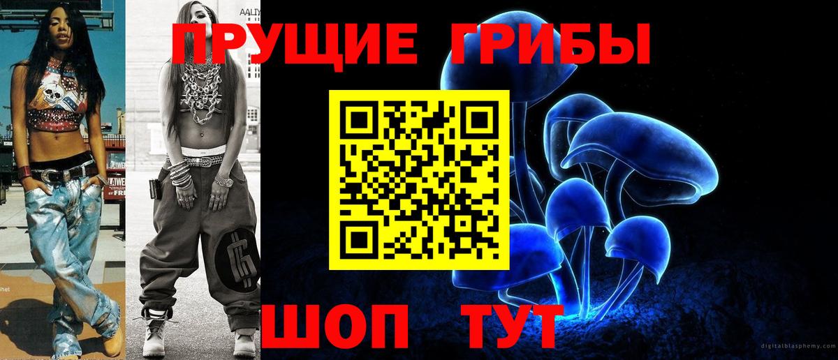 купить наркоту  Галлюциногенные грибы Magic Shrooms  Вход с VPN  Кинель 